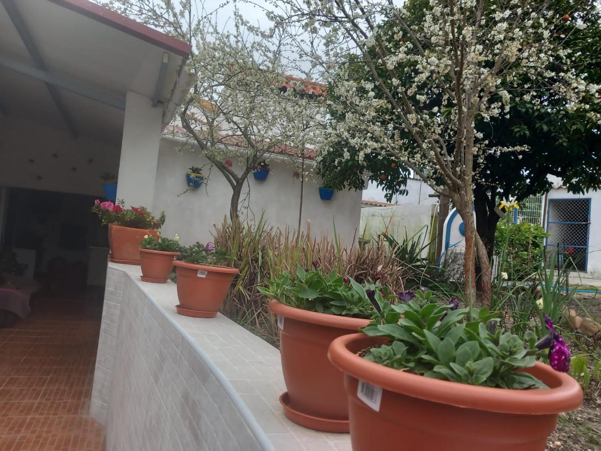 Casa Da Aldeia - Holiday home *