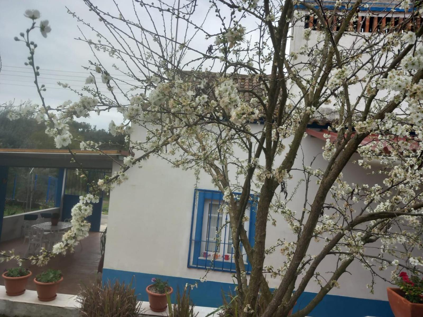 Ferienhaus Casa Da Aldeia - *