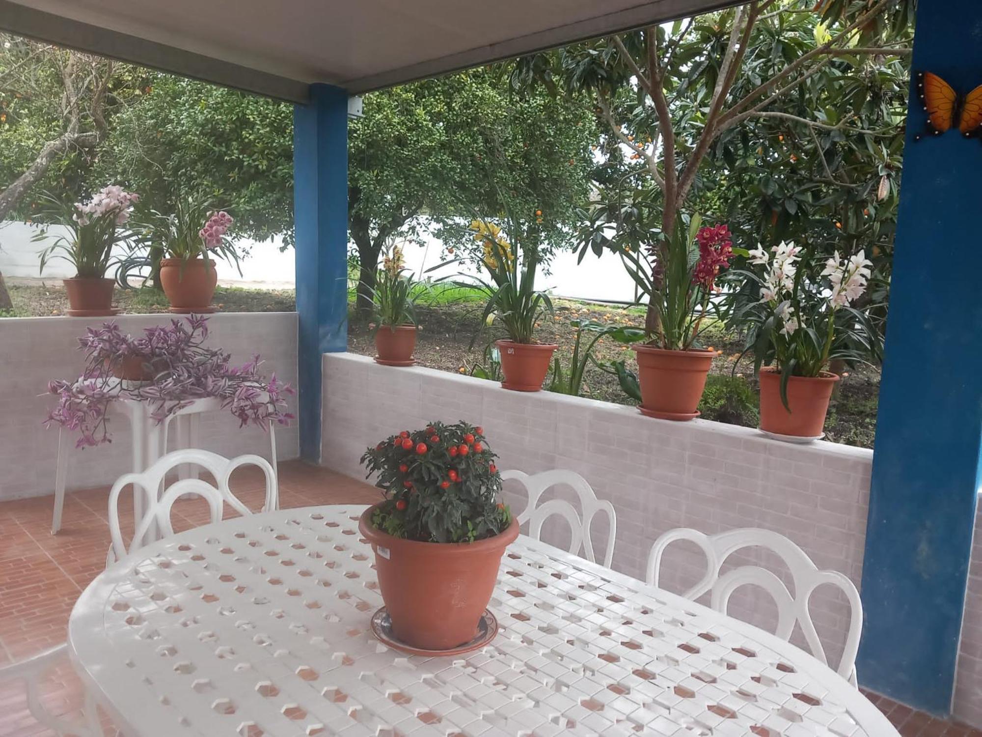 Casa Da Aldeia - *